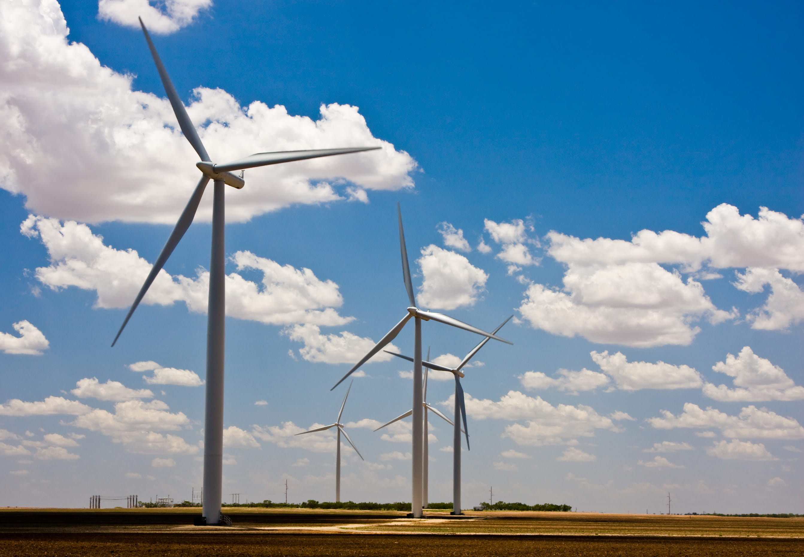 wind turbines in a row