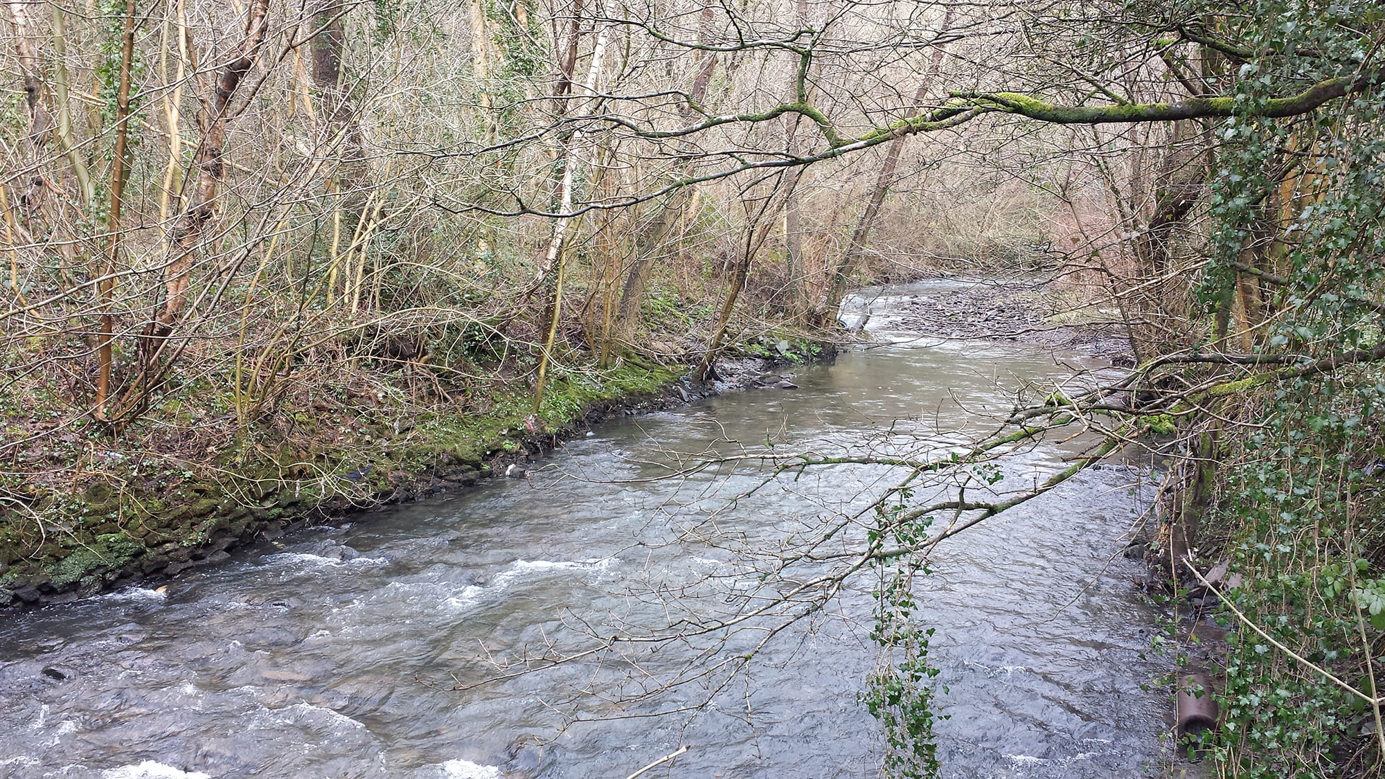 Groundwater Modelling Malmesbury