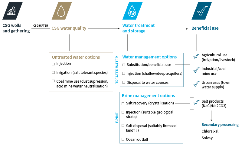 Conceptual CSG water strategy