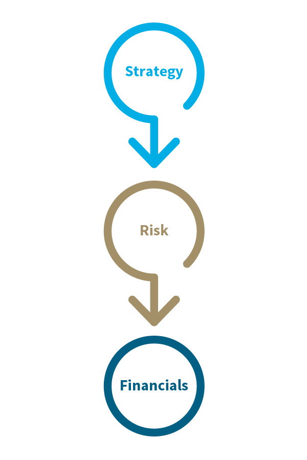 Strategy, risk, financials