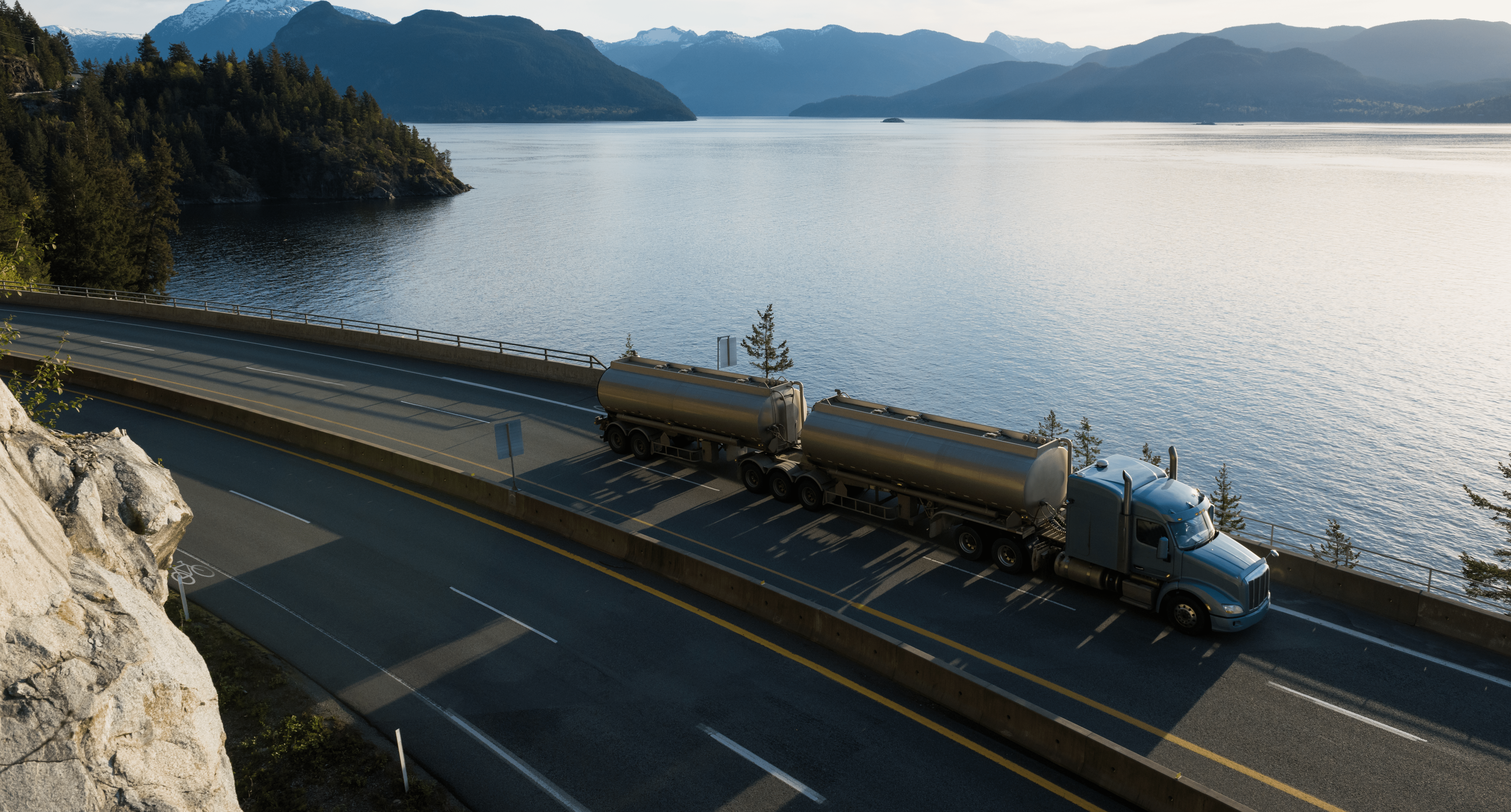 Storage Transmission and Distribution